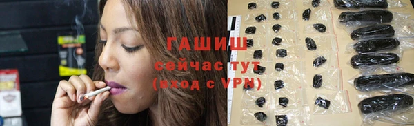 амф Верхний Тагил