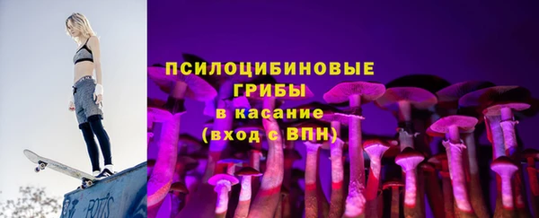 амф Верхний Тагил