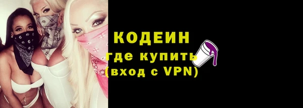 амф Верхний Тагил
